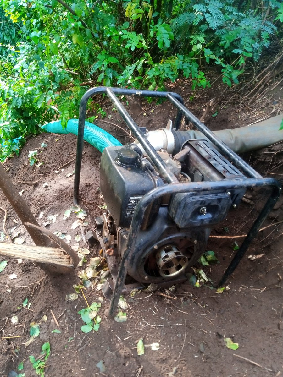 jkwasikye's tweet photo. A loyal servant of mine..#KaMama, my ka #SmallThick thing😂. She gives us 80 jerricans of 20ltrs per minute at @farmgatesug https://t.co/Zj9moCHl7t
