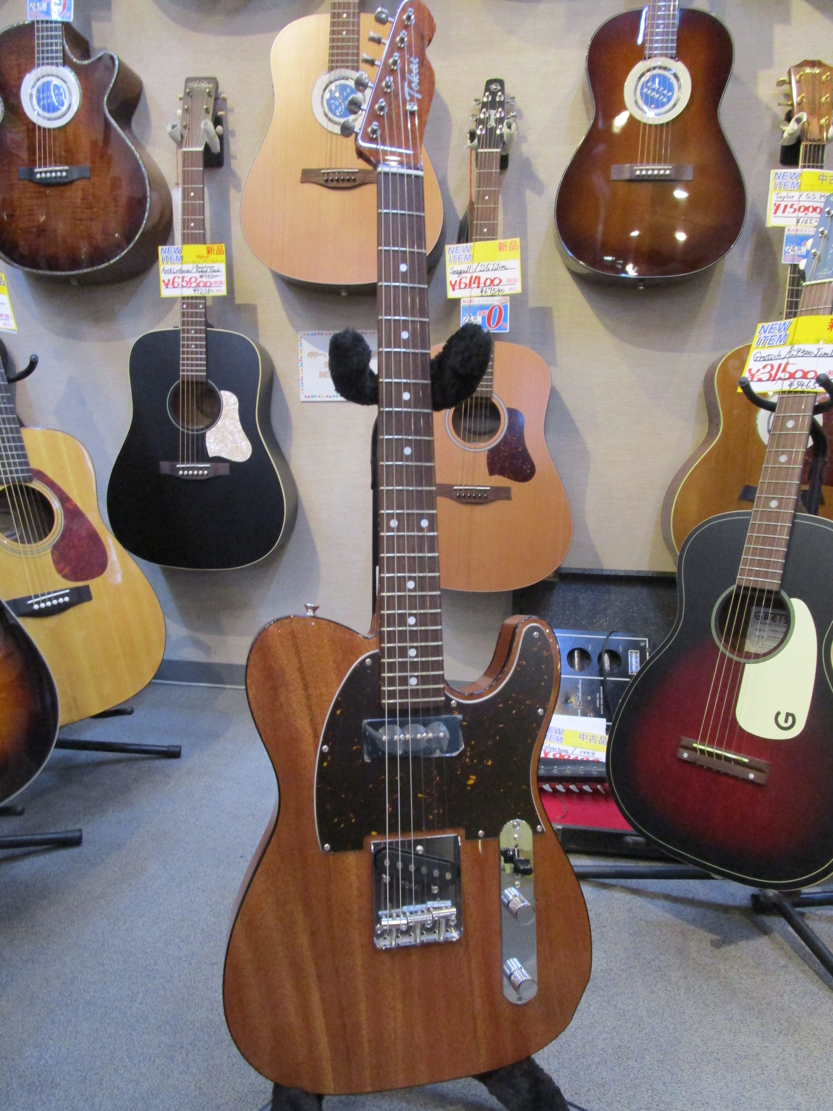 楽天市場】Tokai ATE120S NAT/R 新品 オールマホガニー[トーカイ