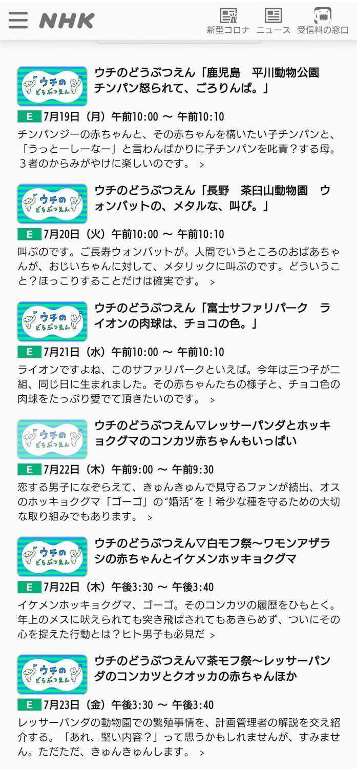 ウチのどうぶつえん Twitter Search Twitter
