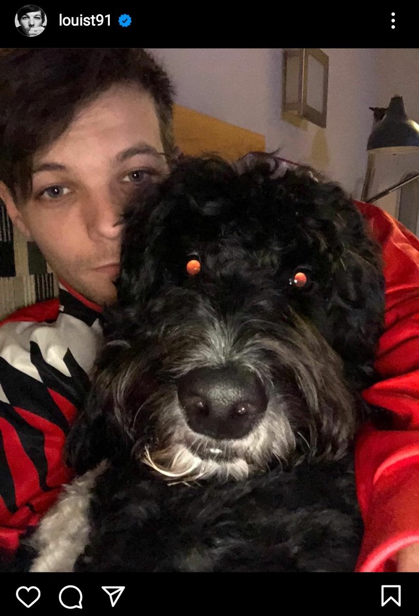lwtizm's tweet photo. louis tomlinson and edvin ryding as each others instagrams, a cute thread <3 https://t.co/ZoK5AsJF1i