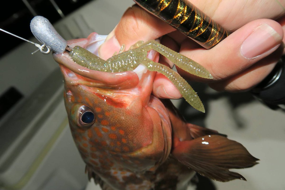 ルアーショップ レッドヘッド Lureshopredhead Twitter