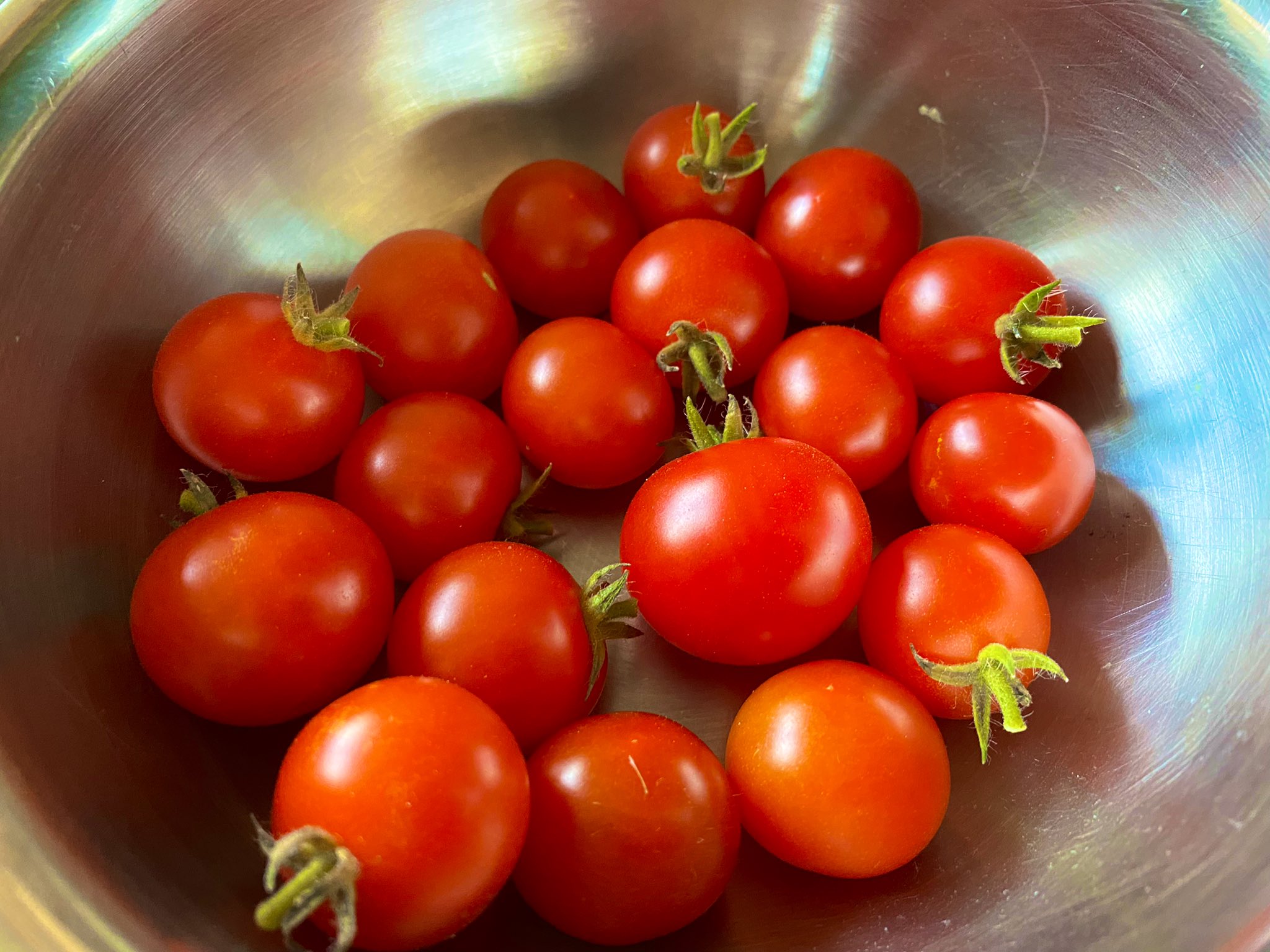 レジナ Twitter Search Twitter