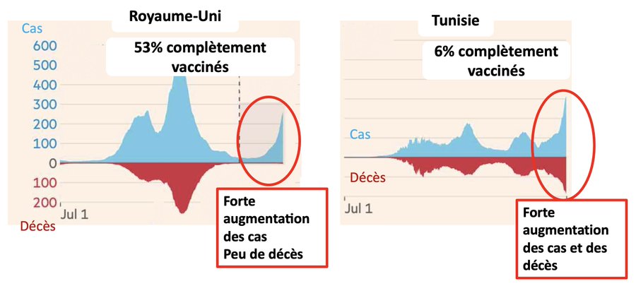 Information et controverses sur le Covid-19 - Page 7 E6k-EUSWQAEsGR2?format=jpg&name=900x900