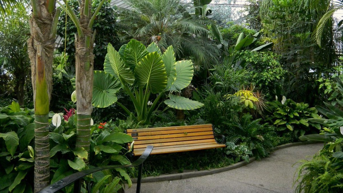 friendsTBcon's tweet photo. This Wednesday #GrabYourMask and escape to the tropics right here at home. #ThunderBay's Botanical Conservatory will reopen 10am-4pm daily as of July 21.
COVID-19 safety protocols apply. Masks are mandatory.
#TBay #StaySafe https://t.co/KJvKI32Jnq