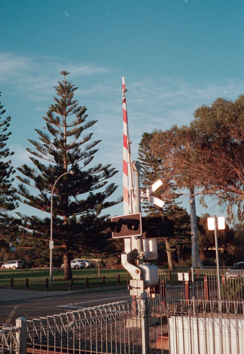 fin1308's tweet photo. Level crossing

📷 #40mm #CVNoktonSC 
🎞️ #Ektar100 
⚗️ #Camerahouse 

#OceanDrive #OceanRoad #SouthBeach #WilsonPark #southfremantle #fremantle #freo #film #filmphotography #negativelabpro #believeinfilm #filmisnotdead #kodak #voigtlander #nokton #bessaR3M #epsonv550 https://t.co/bDorro7cCq