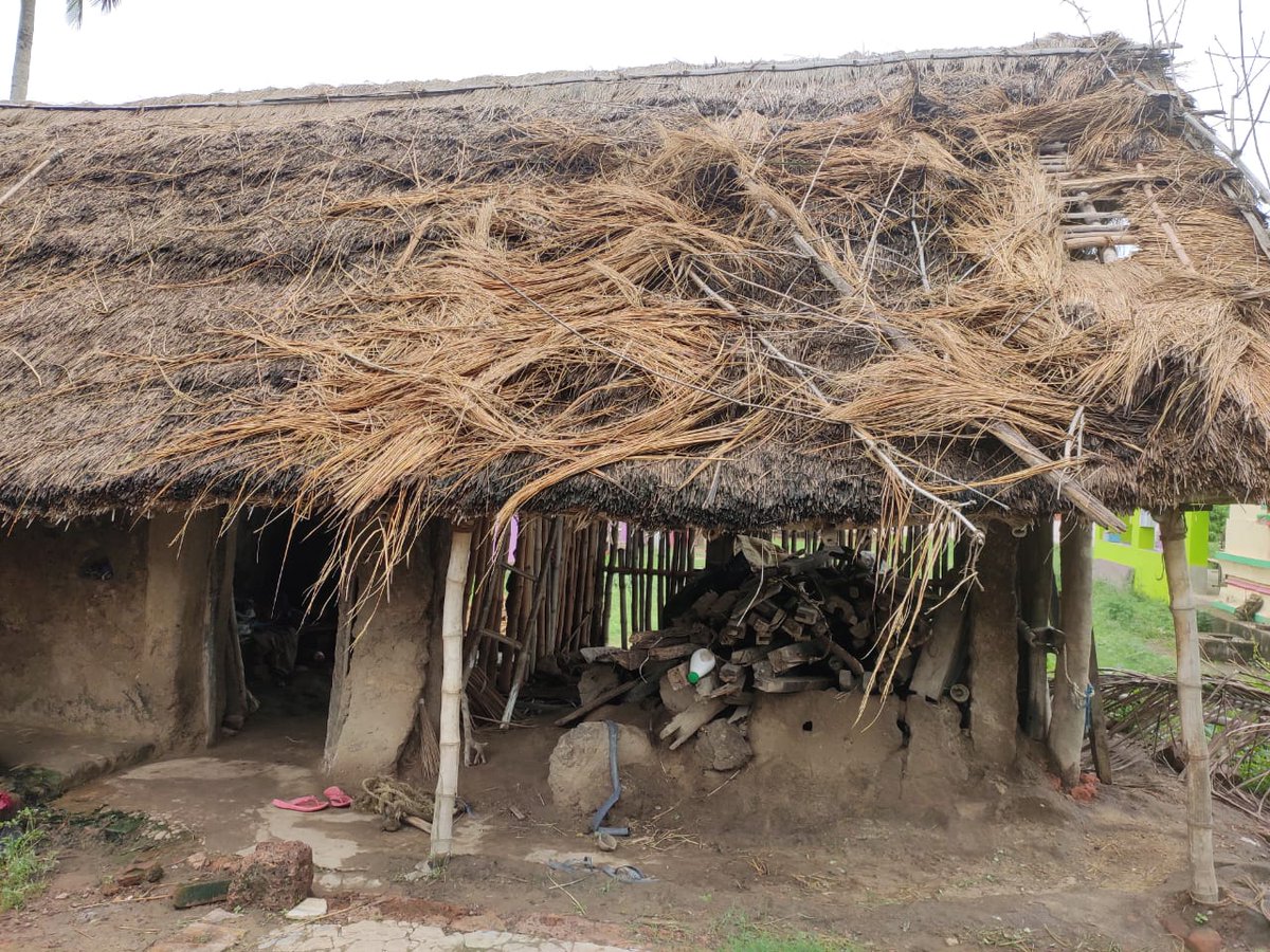 ଗୋକୁଳ ପ୍ରଧାନ 💙 tweet media