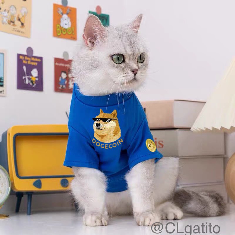 CLgatito's tweet photo. Having a cat as an ambassador of #Dogecoinarmy #cryptocurrencies how ironic https://t.co/he0J203e4d