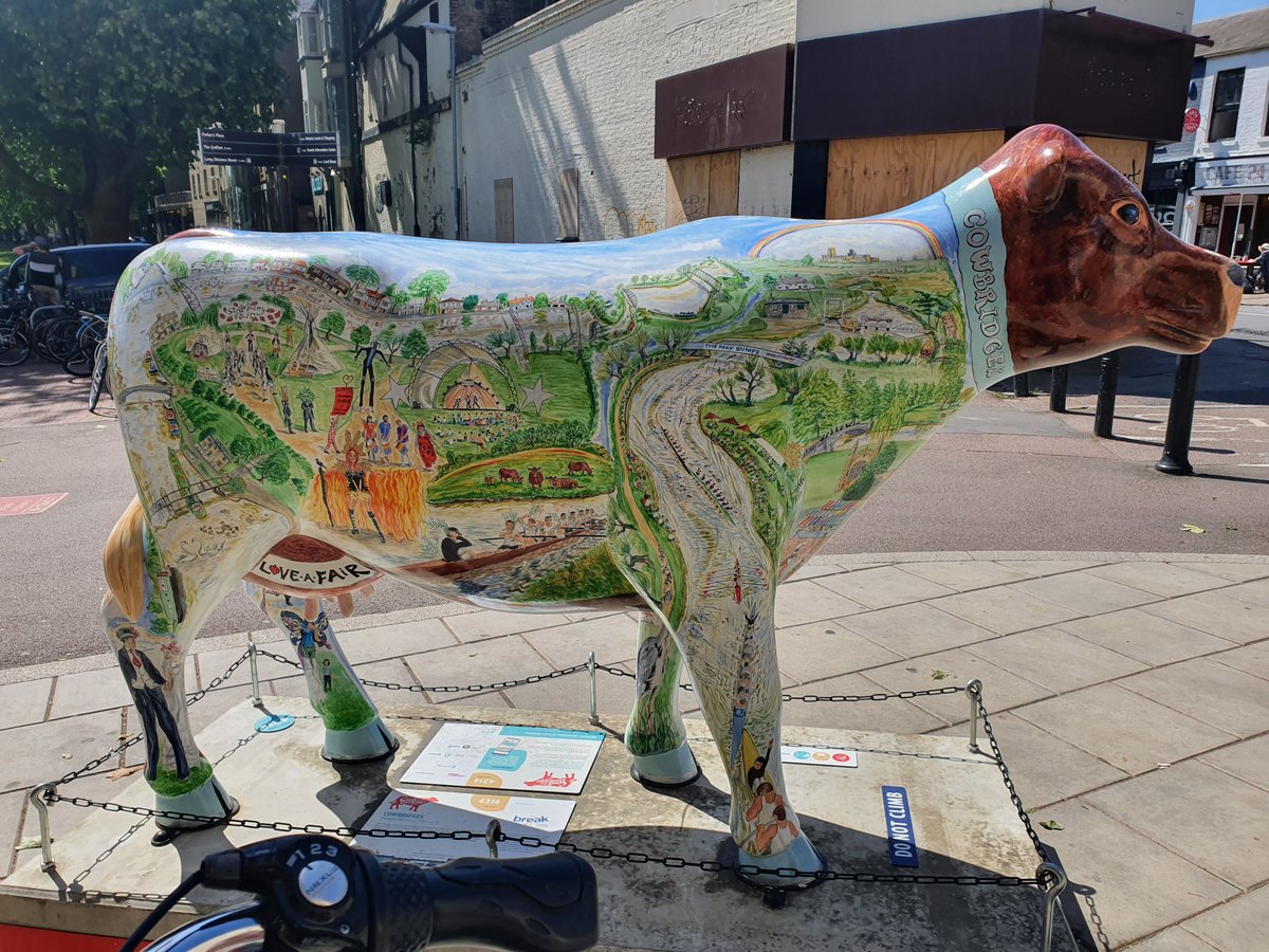 Fun seeing these friendly faces around Cambridge #cowsaboutcambridge