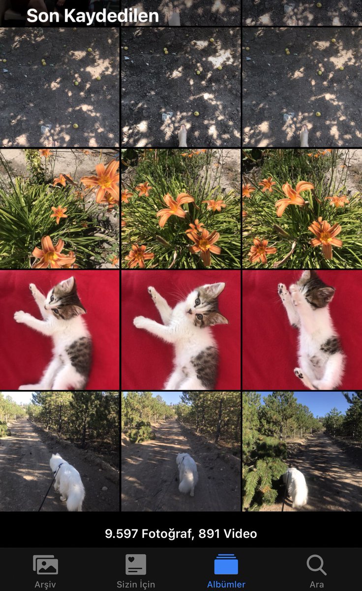 Anlatmaya gerek yok görüyorsunuz