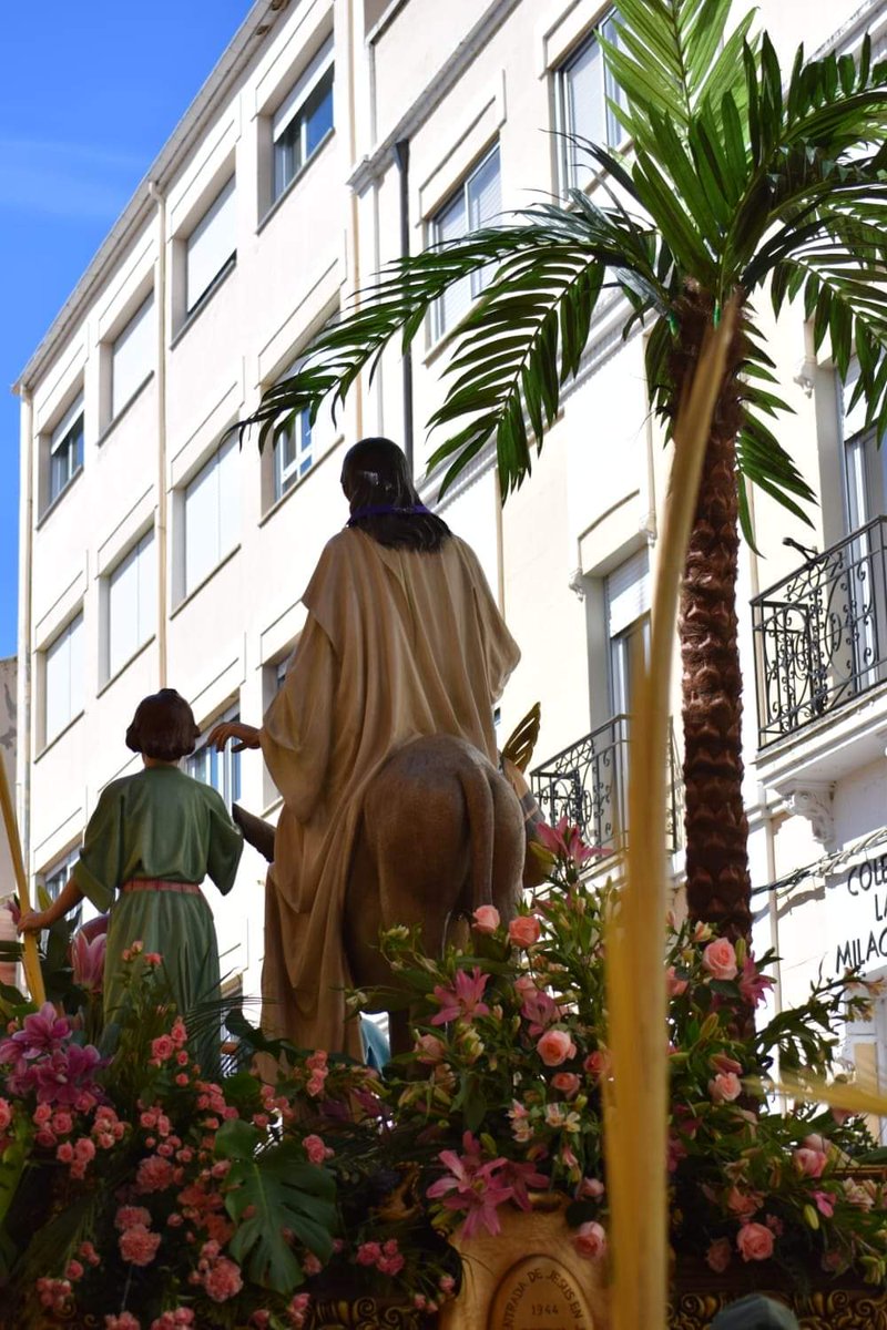 En aquel tiempo, los apóstoles volvieron a reunirse con Jesús, y le contaron todo lo que habían hecho y enseñado. Él les dijo:
«Venid vosotros a solas a un lugar desierto a descansar un poco»
San Marcos 6, 30-34
