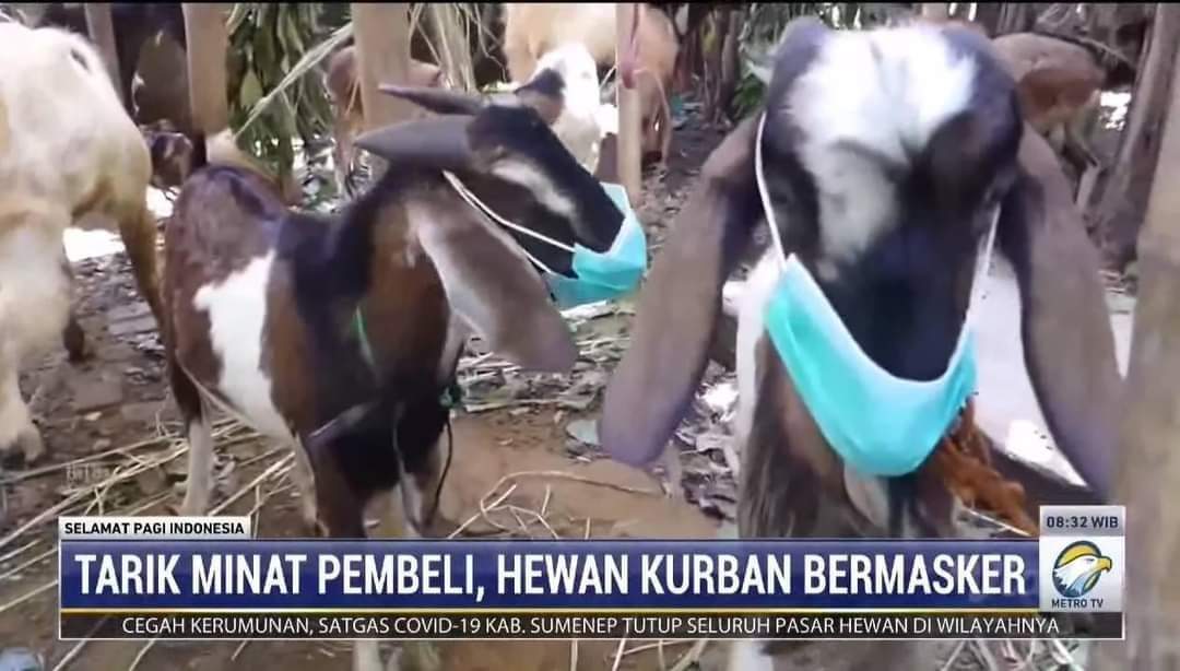 MET IMLEK (@txtharinasional) on Twitter photo 