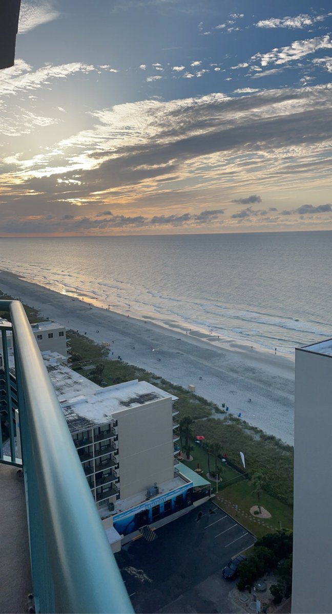 tmcchick's tweet image. ☀️