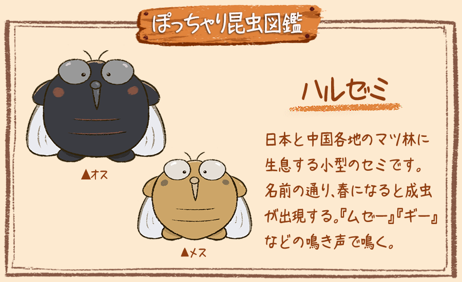 Twitter এ ぽっちゃり昆虫図鑑 略してぽちゃこん ぽっちゃり昆虫図鑑 No 251 ハルゼミ ぽっちゃり体型の生き物を毎日描いています 今日は春になると現れるセミ ハルゼミです 昆虫 絵 イラスト 1日1絵 一日一枚絵 絵描きさんと繫がりたい イラスト Twitter এ ぽっちゃり昆虫図鑑 略してぽちゃこん ぽっちゃり昆虫図鑑 No 251 ハルゼミ ぽっちゃり体型の生き物を毎日描いています 今日は春になると現れるセミ ハルゼミです 昆虫 絵 イラスト 1日1絵 一日一枚絵 絵描きさんと繫がりたい イラスト