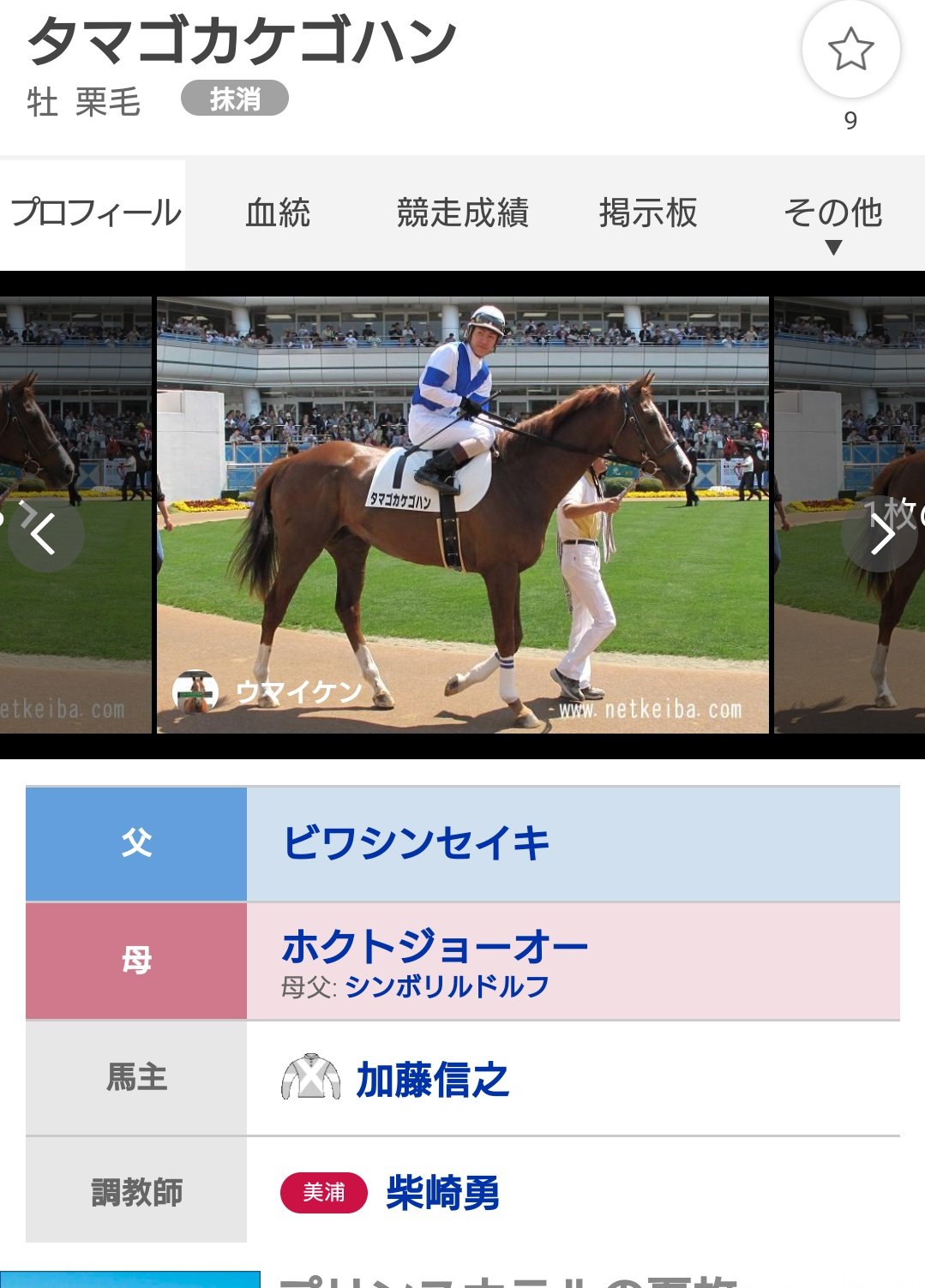 461 ﾖﾛｲ プリンニシテヤルノとかオヌシナニモノがいるなら ホカホカノゴハン とかいないかなー と思って探したけどいなかった タマゴカケゴハンならいた しかも母父シンボリルドルフ T Co Ppmbfh6saj Twitter
