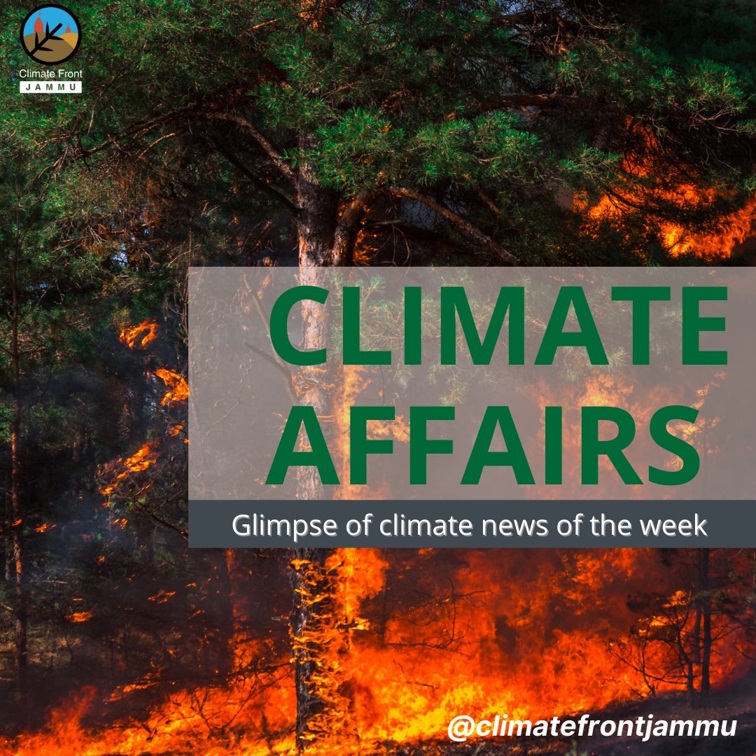 ClimateFrontJMU's tweet photo. CLIMATE AFFAIRS
Here's is a glimpse of climate news from around the globe this week. Swipe to read.
#climatefrontindia #climatefrontjammu #climateconcerned #NoMoreEmptyPromises #ClimateAction #ClimateEmergency #climatecrisis #climatechange #climatenews #climatechangeisreal https://t.co/kPcB6BzdmY