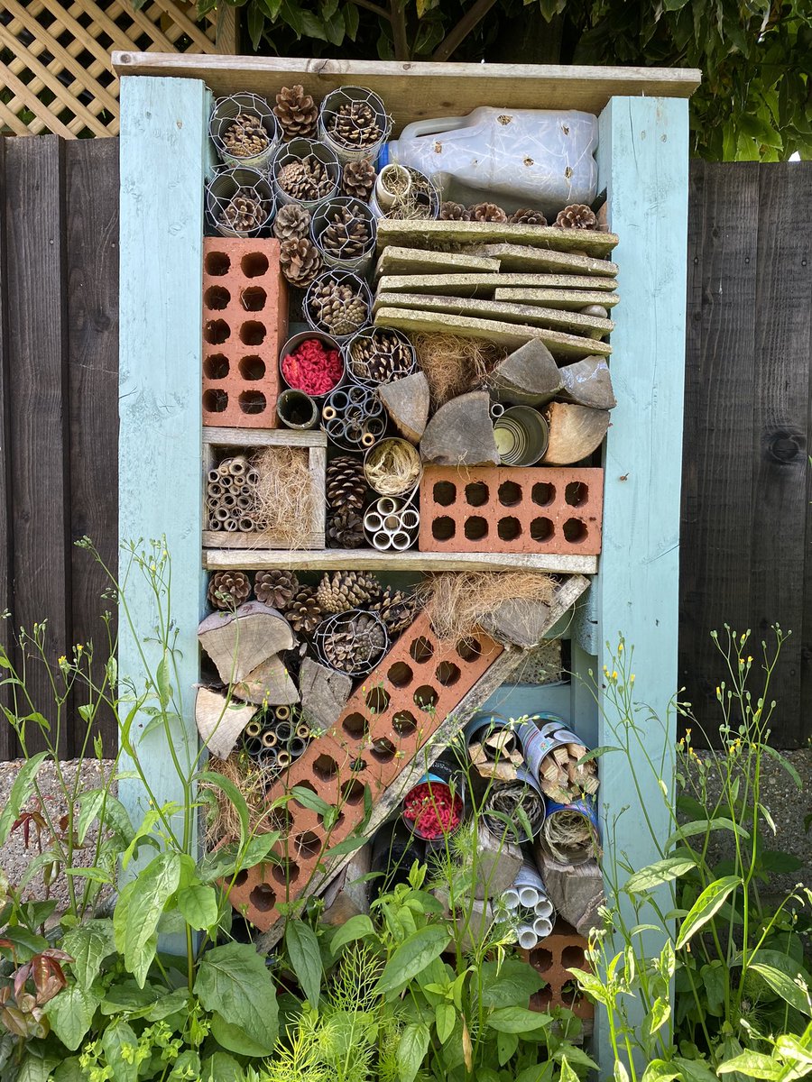 BrianRumbelow's tweet image. Thought today I would share my #BugHotel it’s all made from found material. I’m hoping for full occupancy over Winter