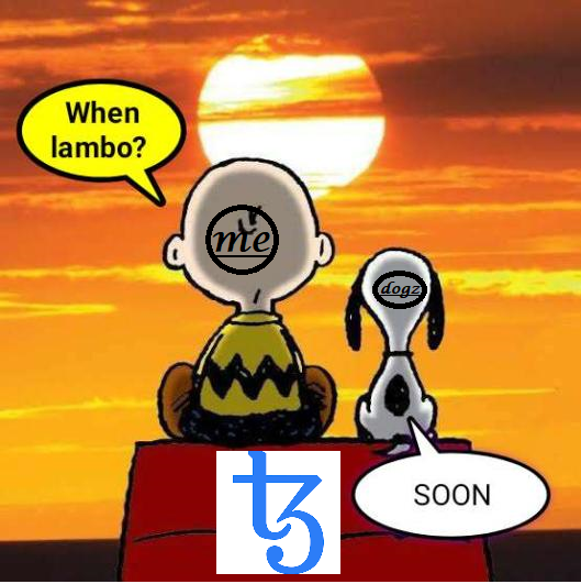 siddhar18655621's tweet photo. @DoGz_tez wen Dogz coming then lambo coming

#tezdrops #tezos #xtz #DoGz https://t.co/vYSRgQ0cbN