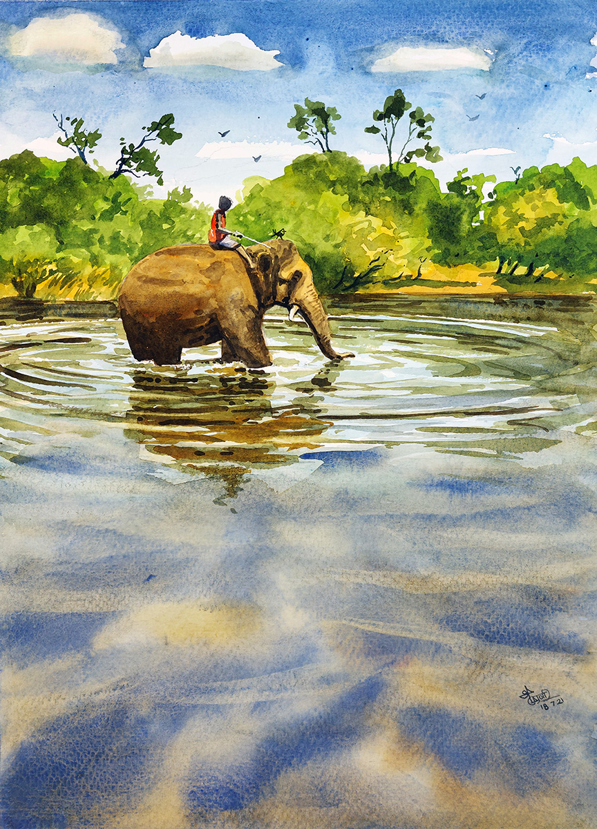 MuralidharanAl1's tweet photo. Elephant at Dubare, Elephant Training camp, Karnataka. 36x26 cm. Watercolors. Painted during CWA Virtual Travel sketching CWA443 on 18-7-2021.
#CWA #CWA443 #Dubare #Watercolor #Elephant #reflections #water #Art #ripples #Cuckooo https://t.co/FOqtvF3UOI