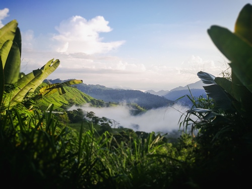 Kelly & Adam | The Wilder Route tweet media