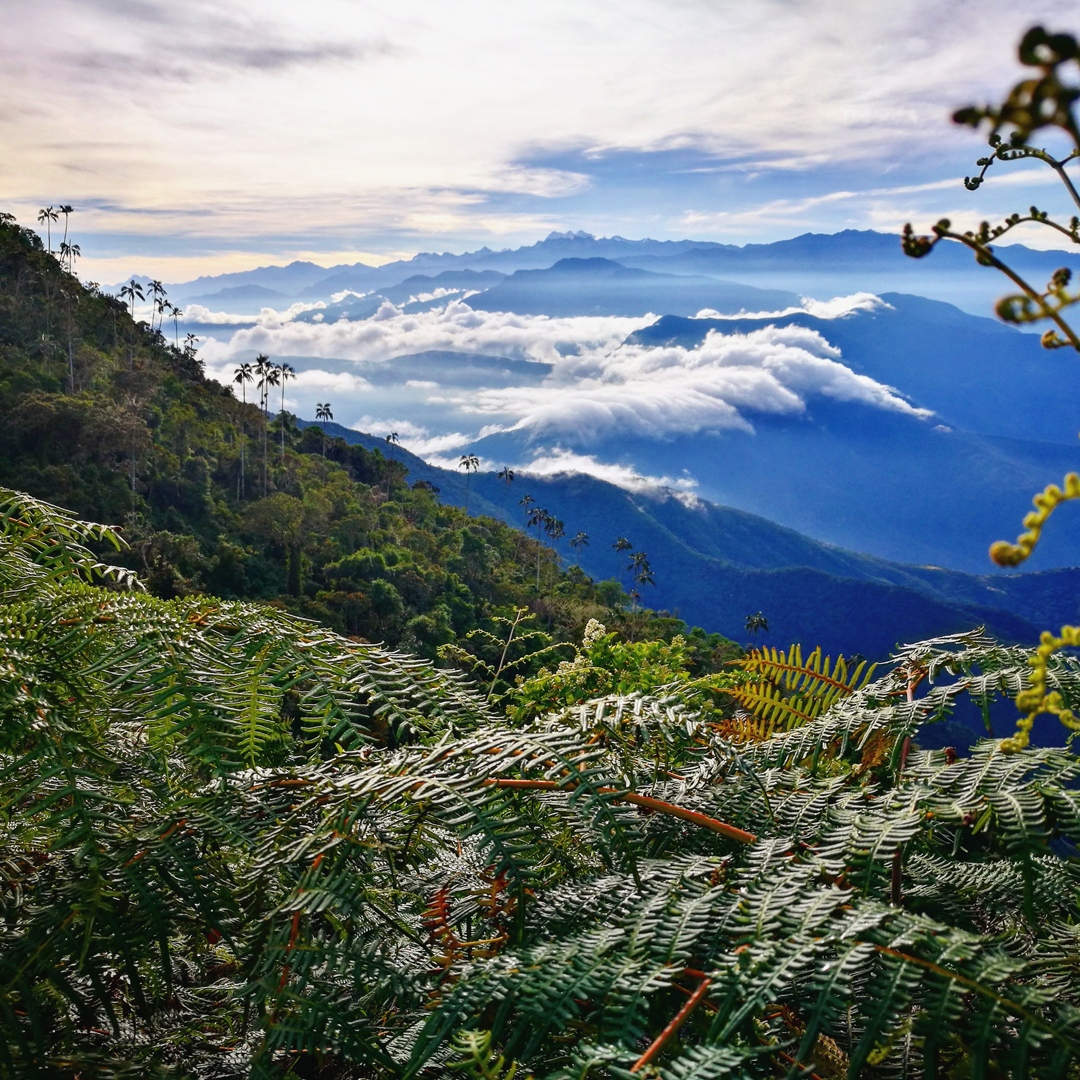 Kelly & Adam | The Wilder Route tweet media