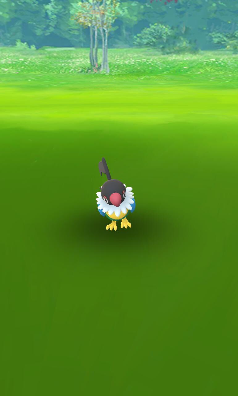 曜ちゃん 真姫ちゃん推し ポケモンgoフェス2日間 お疲れ様でした やっとペラップ初ゲット W 沢山のレイド招待ありがとうございました 今年も楽しかったです 来年も楽しみにしてます Pokemongofest21 ポケモンgo ポケモンgofest21