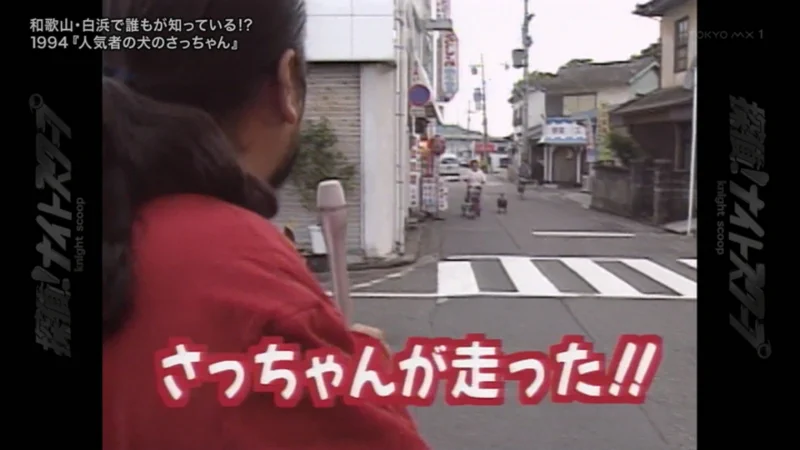 とびタヌキ on X: 