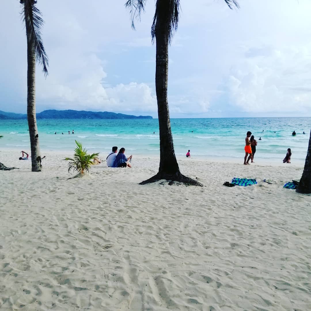 Leslie G.Dale 💮🌸🌺🏵🌼 tweet media