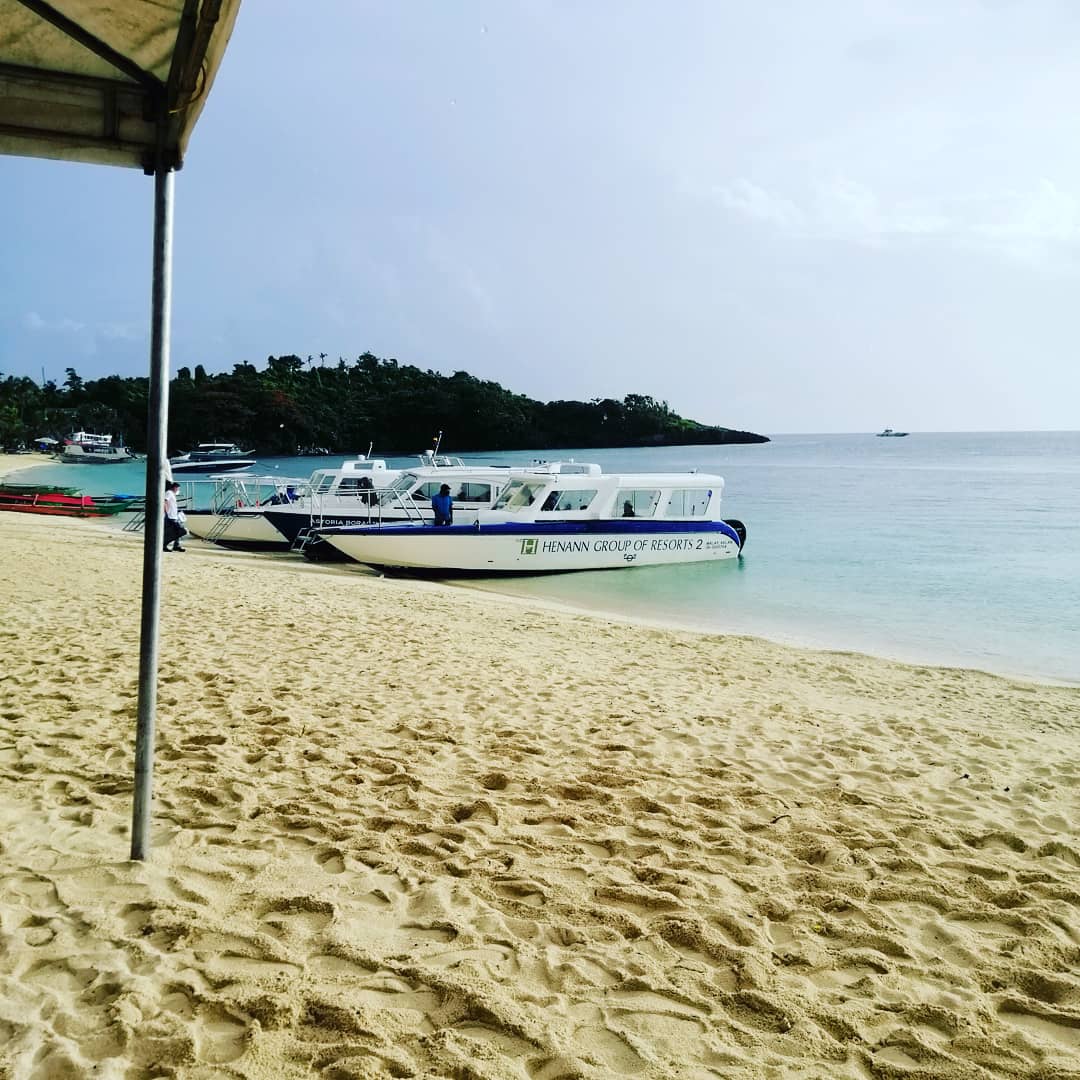 Leslie G.Dale 💮🌸🌺🏵🌼 tweet media