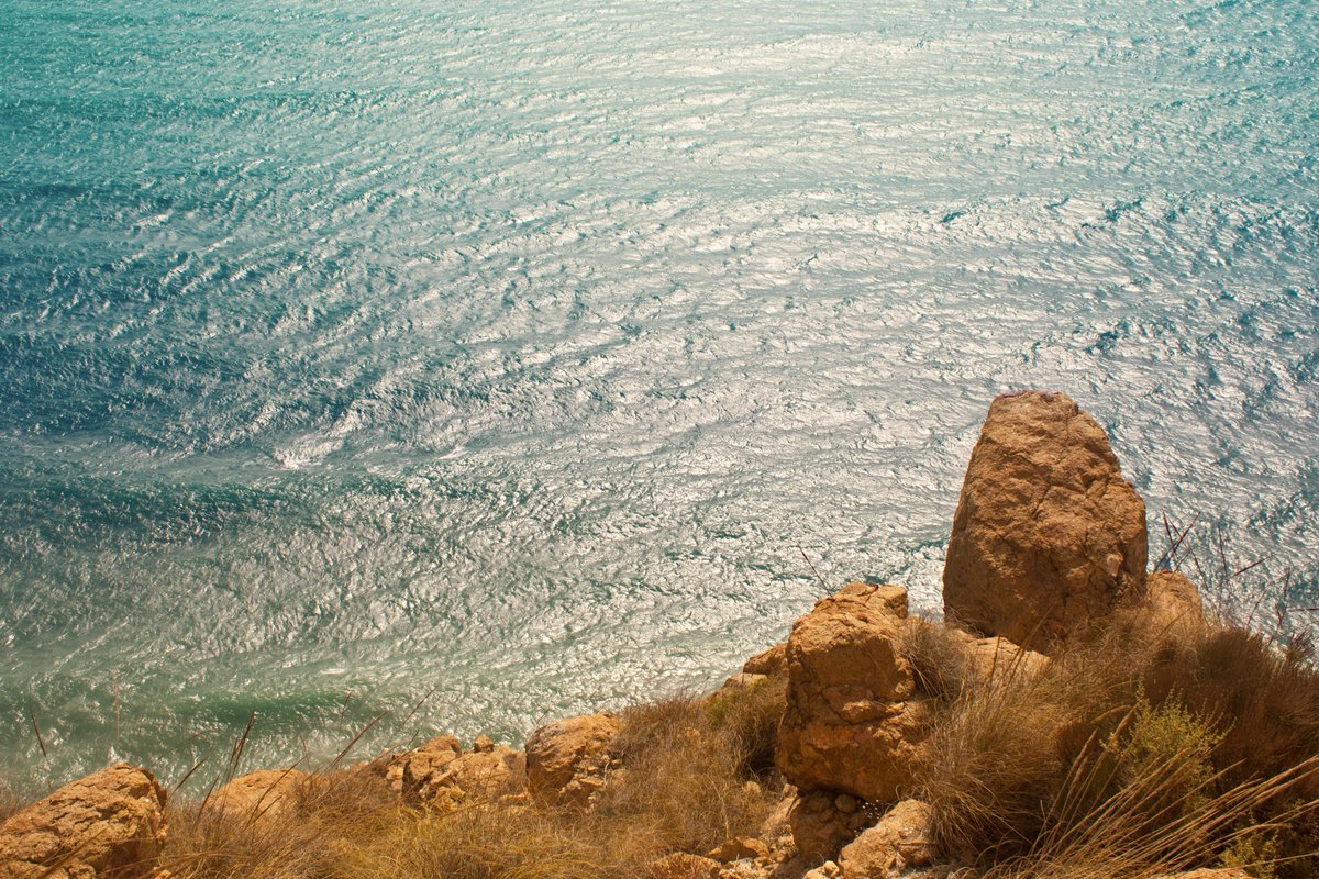 JenCreativJen's tweet image. Sommer 🌞🌾🐳