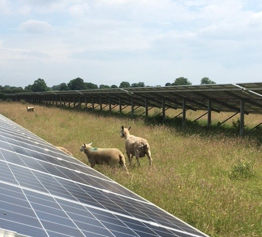 Shropshire & Telford Community Energy tweet media