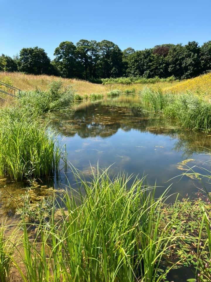 Today crew have been out on  water safety patrol through  #bishopsstortford   ☀️

For #communitysafety getting you home safe
We know it’s hot but be safe!

Remember if you see someone in danger call 999 don’t just jump in.

#waterrescue #watersafety #volunteers  #hertfordshire