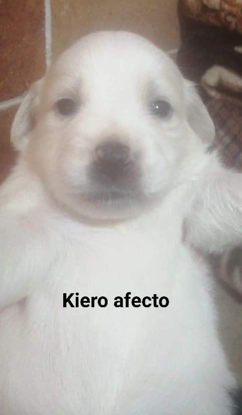 TargaryenAGR's tweet photo. Tengo dos moods https://t.co/rRK1ip1tEh