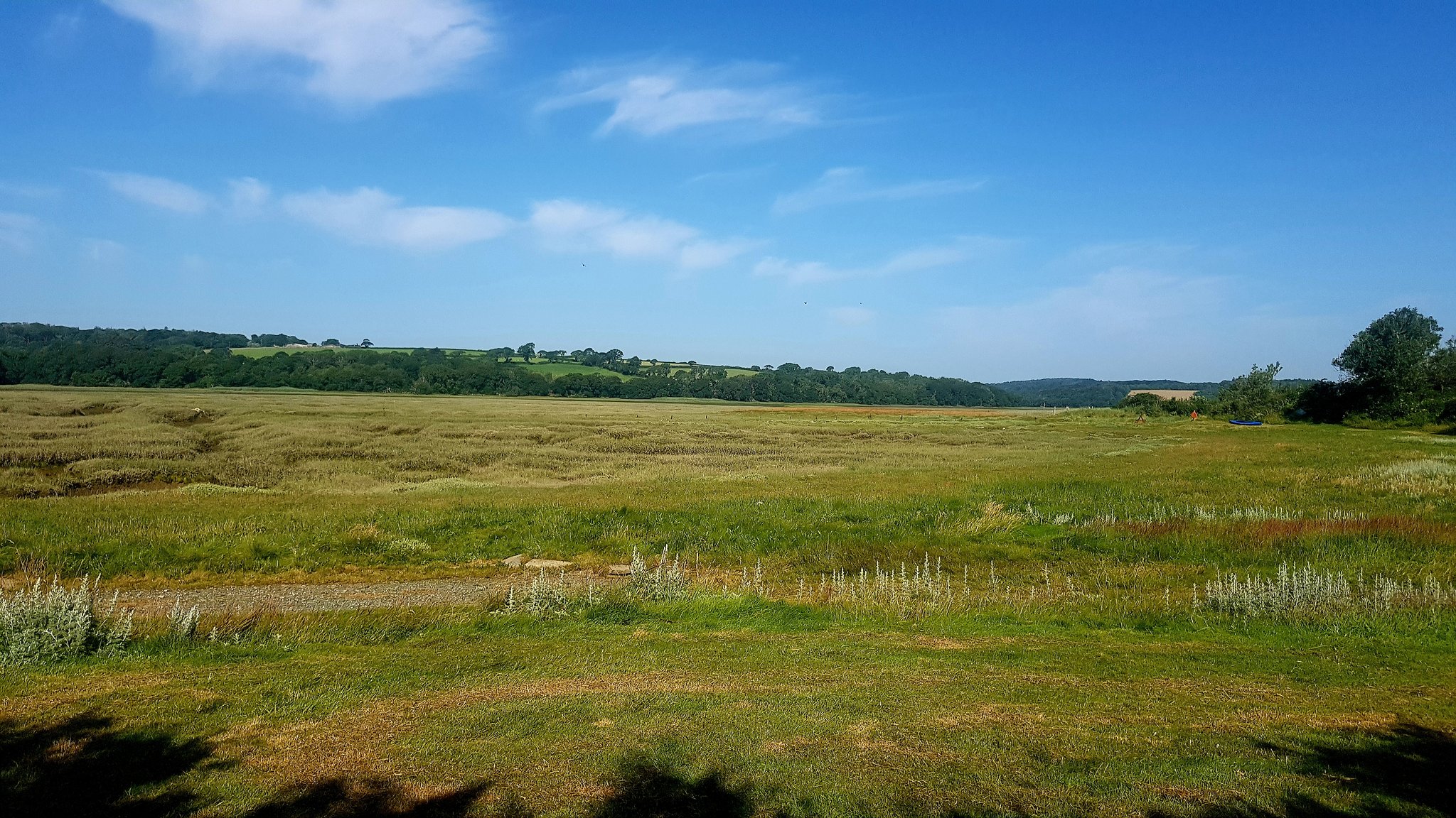 Welshandnaked on Twitter: 