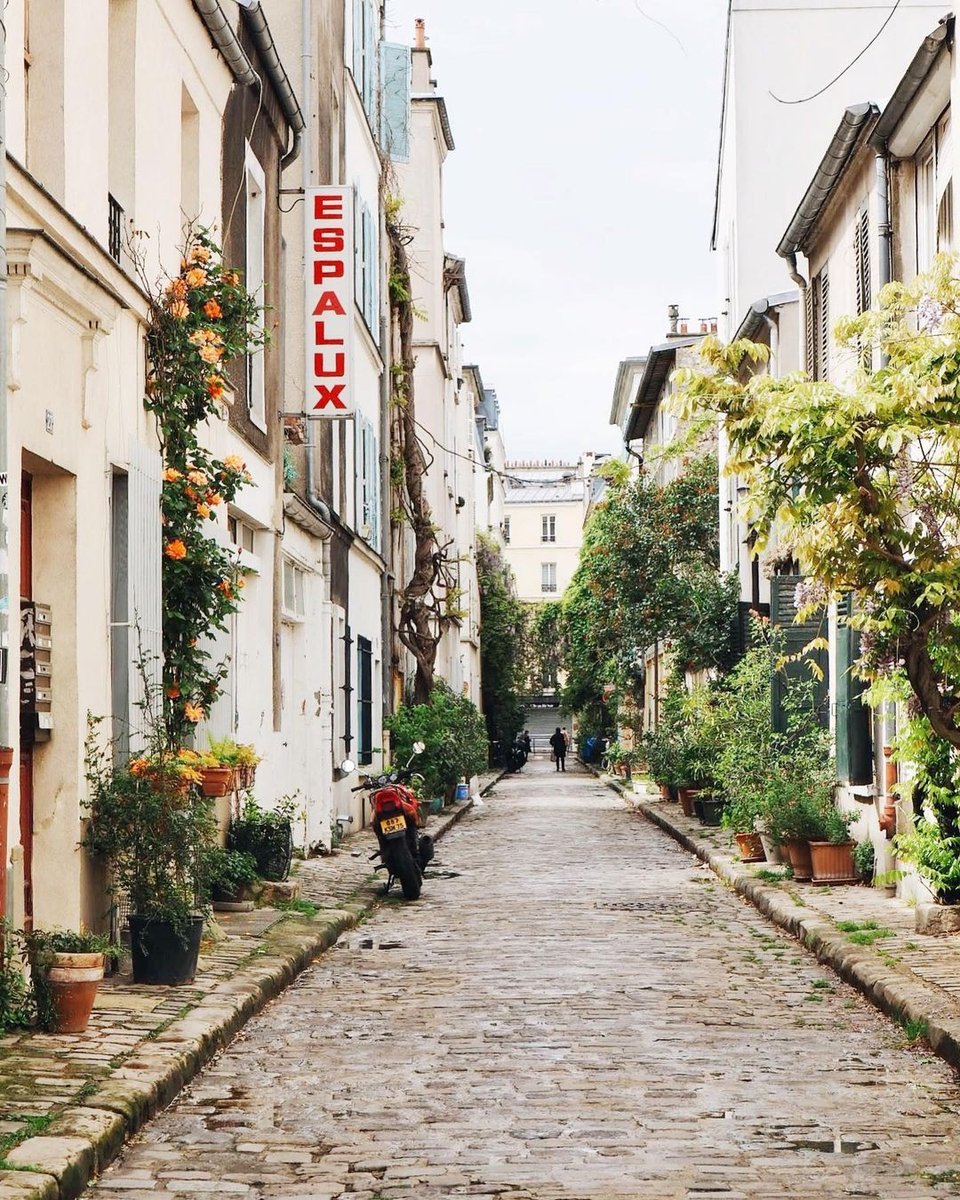 hipparisblog's tweet photo. Sunday is the perfect day to explore the city. Does anyone recognize this little hidden passage?
📸: @vagabonde.tenenbaum
#hiddencity #hiddenparis #sundayinthecity #sundayinparis #parislove #hipparis #parispassageway #pedestrianparis https://t.co/5CknbmM8wG