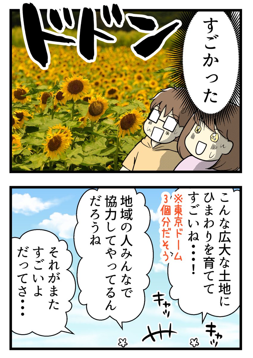 ひまわり畑で心配になった理由 #茨城県 #ひまわり畑

昨年8月に行ったひまわり畑でのお話。

見てないうちから「期待通りじゃないだろう」なんて言ってごめんなさい(なんかフリみたいになっちゃった)

今年も8月上旬～中旬が見ごろになる予定だそうです😍 
