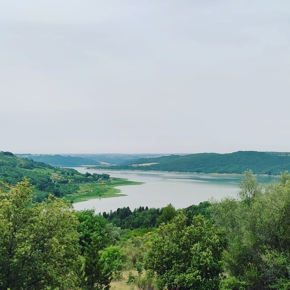 Immersion in Nature 
•
•
•
#nature #naturephotography #landscapephotography #trekking #trekkingitalia 
#trekkinglovers #trekkinginUmbria 
#Umbria
#Italy 🇮🇹 instagr.am/p/CRdnXf2rhtx/