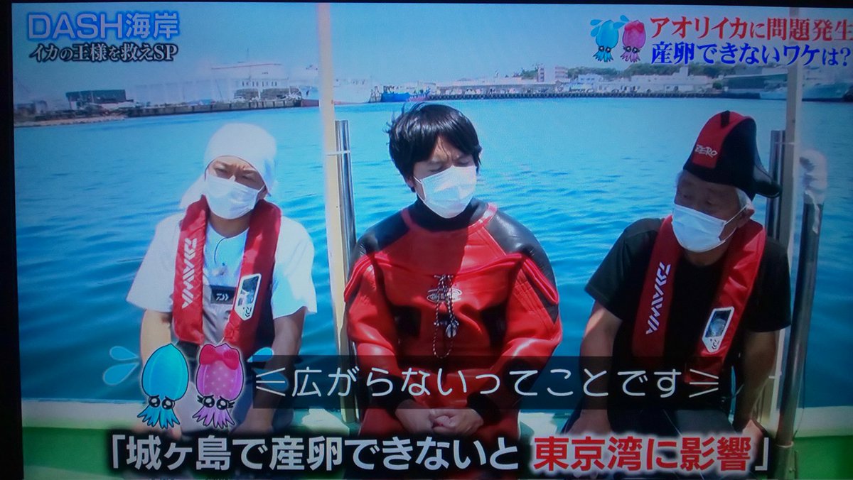 アオリイカの産卵場所 無いなら つくるしかない 心当たりのある城島リーダーは漁師を連れて森へ向かった 鉄腕dash Togetter
