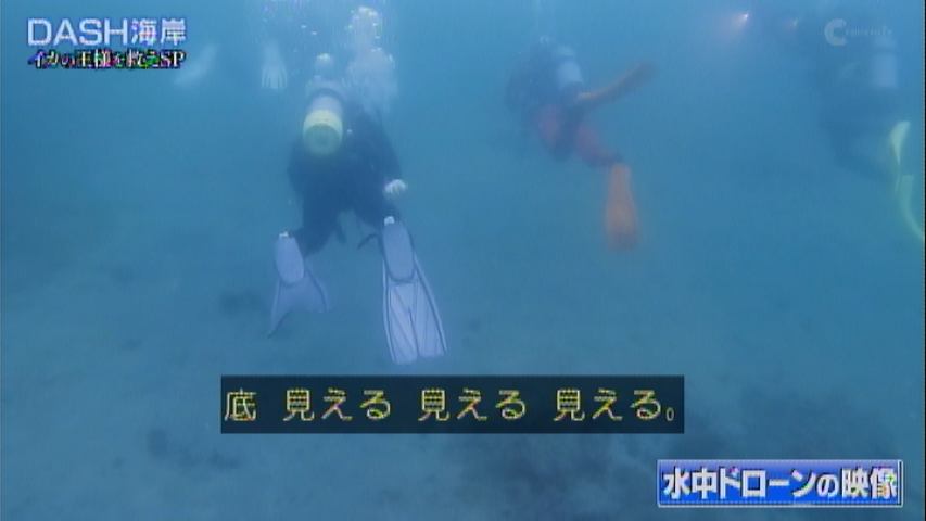 アオリイカの産卵場所 無いなら つくるしかない 心当たりのある城島リーダーは漁師を連れて森へ向かった 鉄腕dash Togetter