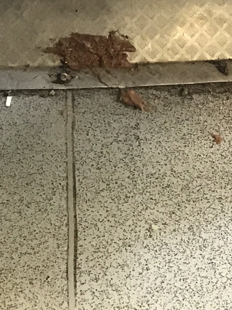 Dancerama1's tweet photo. @transport_wales Absolutely disgusting mess on the Swansea to Manchester Piccadilly train this am!! When was this last cleaned? Filthy table, soaking toilet floor leading to wet trouser legs and dog mess &amp; dirt all around the seats! No wonder cases rise on public transport! 😷 https://t.co/2BfK5W3OIl