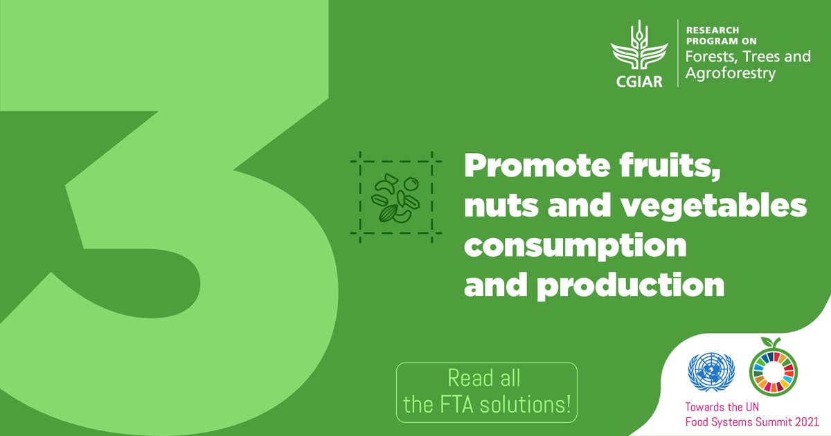 FTA_Partnership's tweet image. #EatYourVeggies🥗... fruits 🍌 and nuts🥜 too!

Not only are they among the most nutrient-dense foods, but promoting their consumption and production is also a #GameChangingSolution #ForTheFuture of @FoodSystems! 🌎

Game-changing solutions for #UNFSS2021: foreststreesagroforestry.org/11-game-changi…