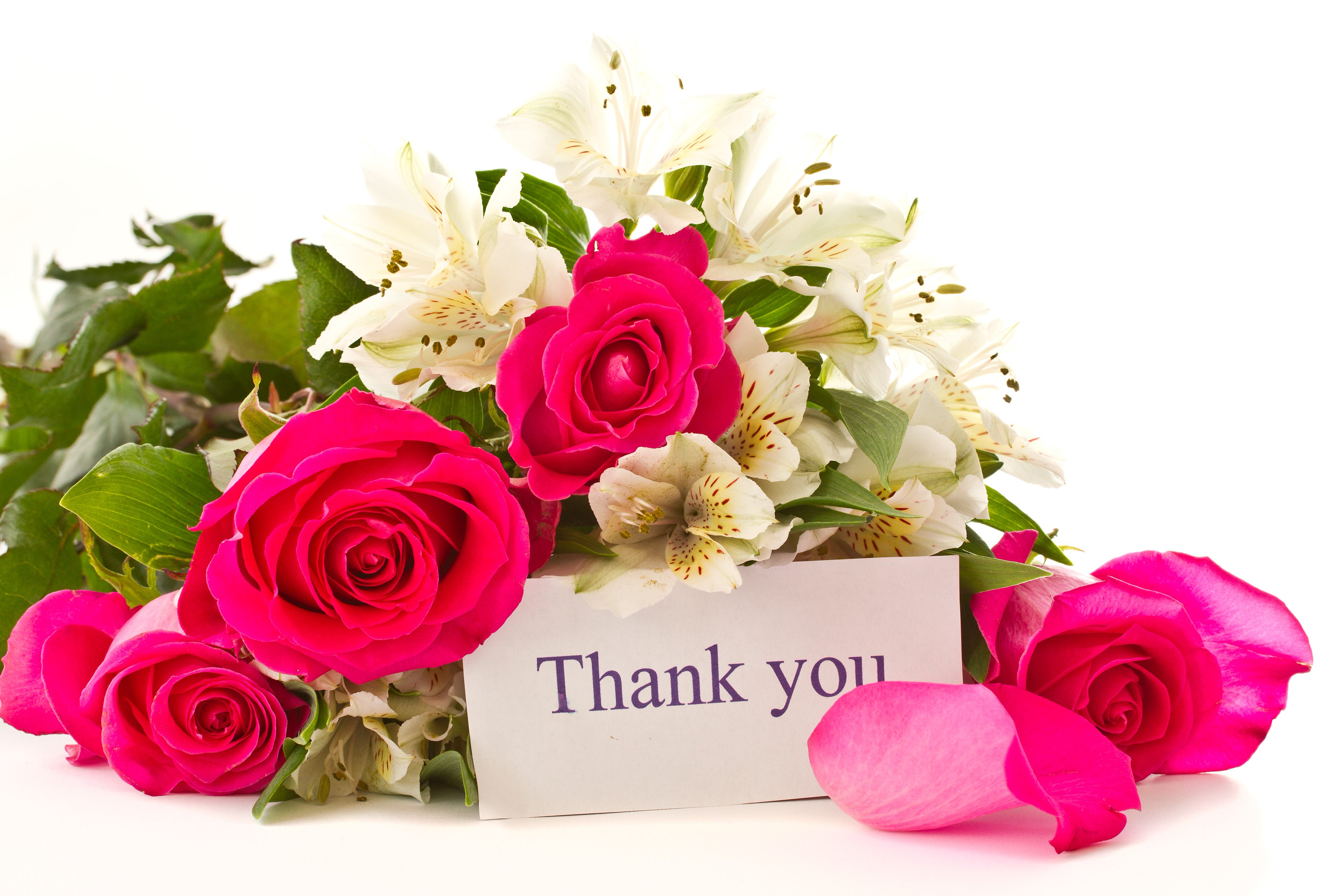 Розочка thank you photos