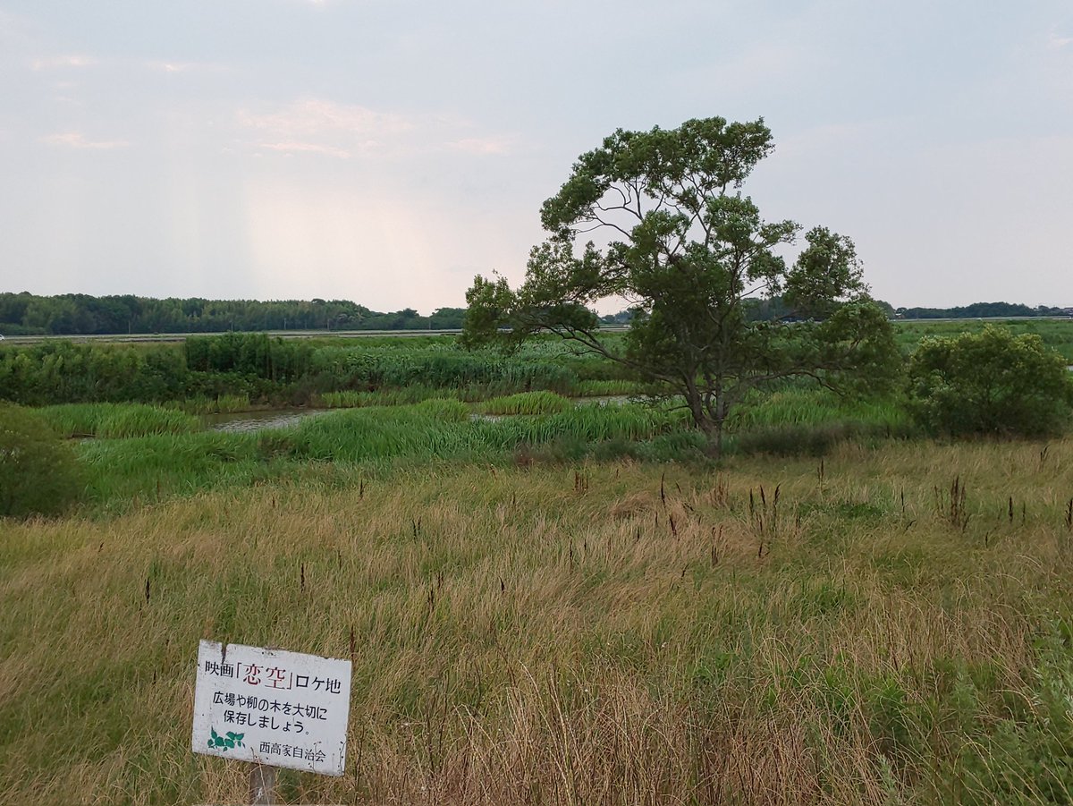 恋空 映画 最新情報まとめ みんなの評価 レビューが見れる ナウティスモーション