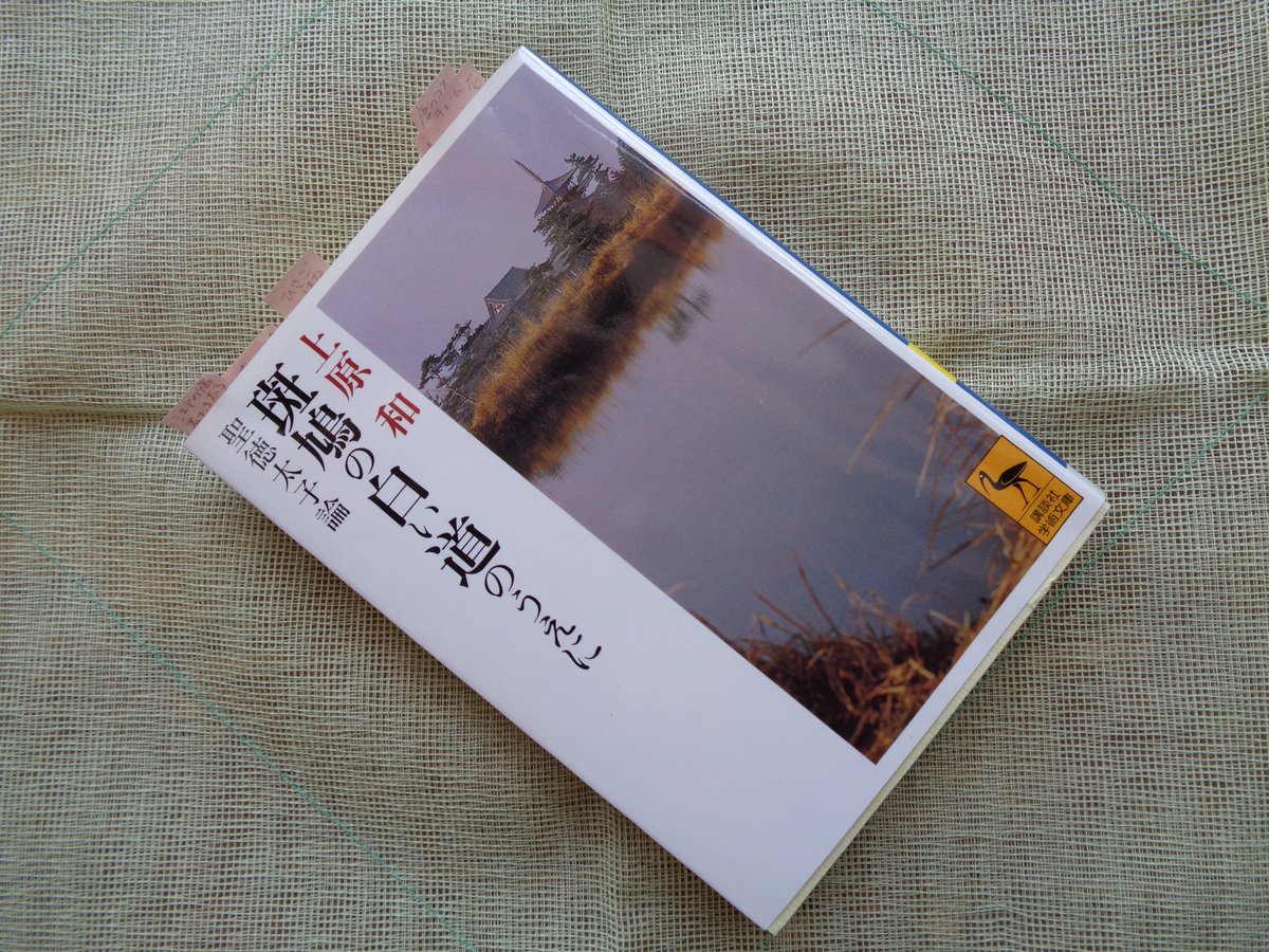 大谷直子 最新情報まとめ みんなの評判 評価が見れる ナウティスモーション