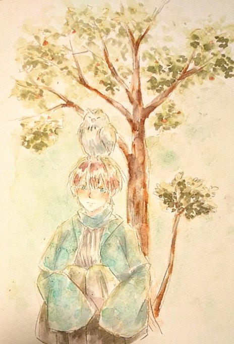 木陰のtwitterイラスト検索結果