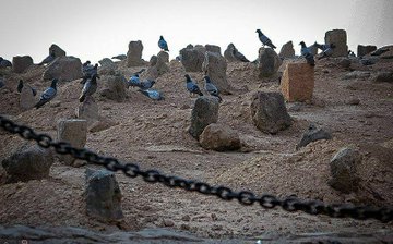 یه روزی میاد که اینجا حرم داشته باشه،
اون روز دور نیست...
#باقر_العلوم