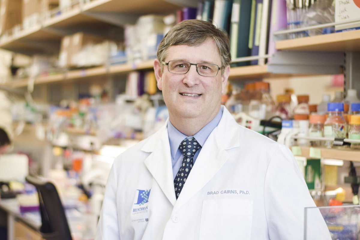 Led by Dr. Bradley Cairns, <a href="/UofUMedicine/">Spencer Fox Eccles School of Medicine</a> scientists showed that p53 activation convergently evolved to couple p53 to Dux/DUX4 activation in #ESCs, embryos and cells from patients with facioscapulohumeral muscular dystrophy.

go.nature.com/3B6fxoI