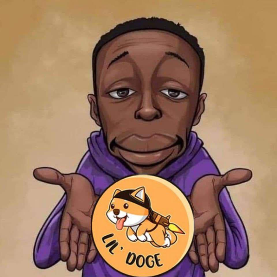 Wanna 100x ?😏 #LilDoge 
T.me/officiallildoge