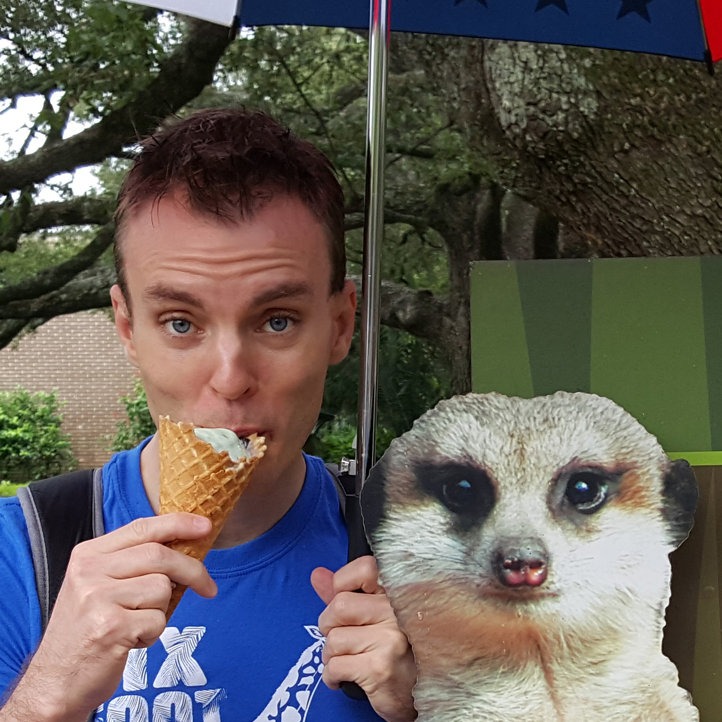 mathew-anderson-2-0-2-3-on-twitter-sensodyne-us-ice-cream