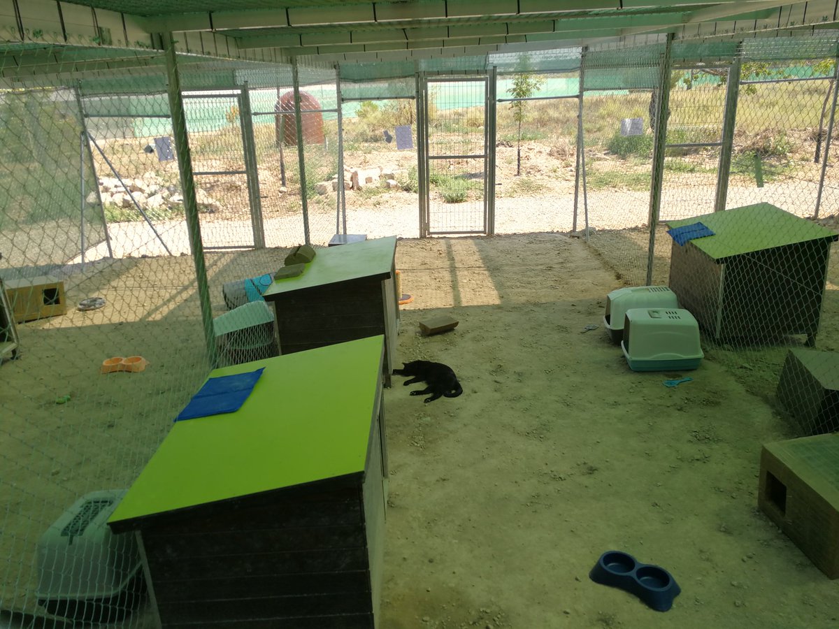 mr_belbedere's tweet photo. #Zaragoza Imagina por un momento que te vas de vacaciones y no tienes ni donde ni con quien dejar a tu gato. Viendo estas imágenes y las condiciones en las que se se encuentra el recinto vallado de El Guano, ¿serías capaz de dejar a tu felino en este lugar durante unos días? https://t.co/0zpWymZaCR