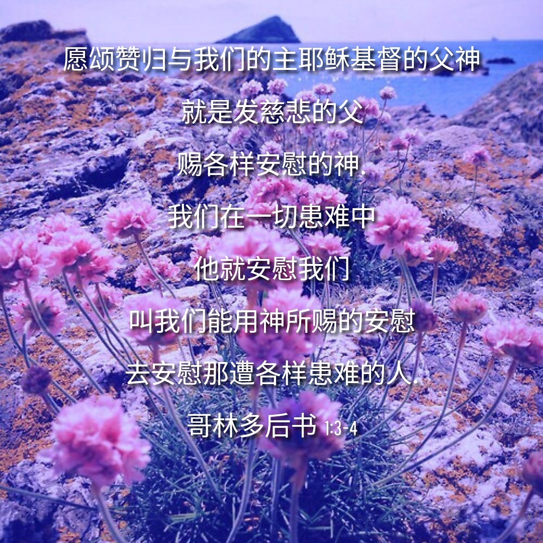 HealthWithJesus's tweet photo. 主是我的安慰 💖 #耶稣 #主 #爱 #希望 #耶稣爱你 #神 #爱心 #健康 #平安 #安慰 #心身健康 #心 #生活 #开心 #快乐 #康复 #新的一天 #平安的心 #Amen #阿门 #眼泪 #我爱耶稣 #主的女儿 https://t.co/vcFzKO0rqt